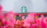  Starbucks Vietnam khai trương cửa hàng Starbucks Fansipan - Cửa hàng Starbucks cao nhất tại khu vực Châu Á 