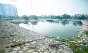 Hồ Hạ Đình ở Hà Nội bị 'bức tử' 
