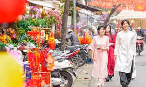 Chợ hoa Hàng Lược 'đánh thức' Tết Bính Ngọ giữa lòng phố cổ