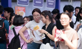 Số thí sinh dự thi tổ hợp B00 giảm mạnh so với năm 2024. Ảnh: NHƯ Ý