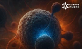 Cách mạng y học: Tiêu diệt tế bào ung thư bằng tia sáng 