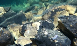 Tàu ngầm Trung Quốc khám phá những miệng hố khổng lồ chưa từng thấy ở Thái Bình Dương