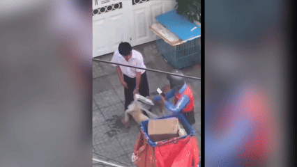 Người đàn ông quăng chó, đánh shipper chảy máu miệng bị công an mời làm việc