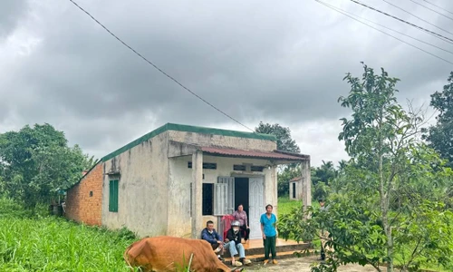 Người dân phấn khởi khi được trao bò giống để phát triển sinh kế.