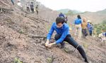 Lãnh đạo Tỉnh Đoàn Bắc Ninh trồng cây xanh.