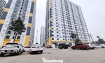 Ảnh minh họa. Ảnh: Nguyễn Thắng