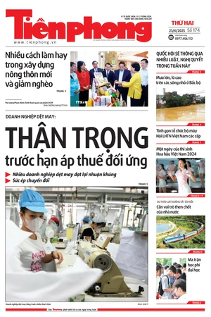 Tiền Phong số 174/2025