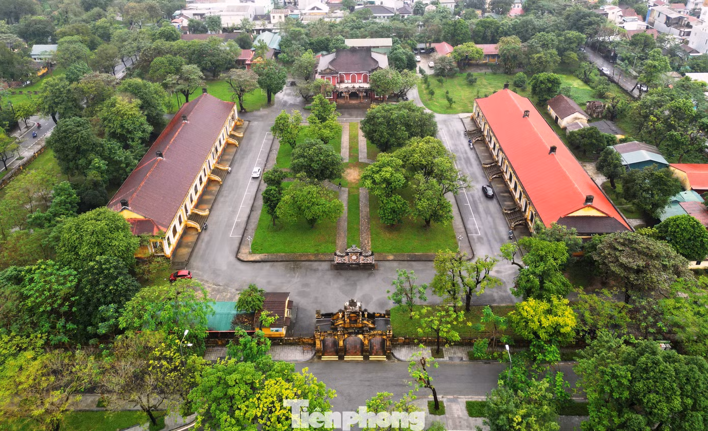 tp-2-co-mat-vien.jpg