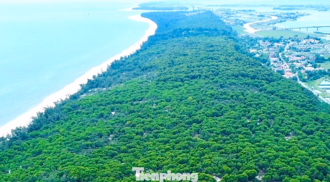 tp-9-pha-rung-phong-ho-ven-bien.jpg