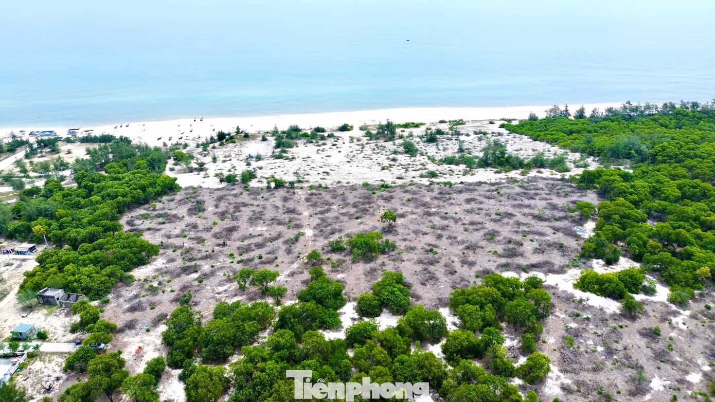 tp-2-pha-rung-phong-ho-ven-bien.jpg