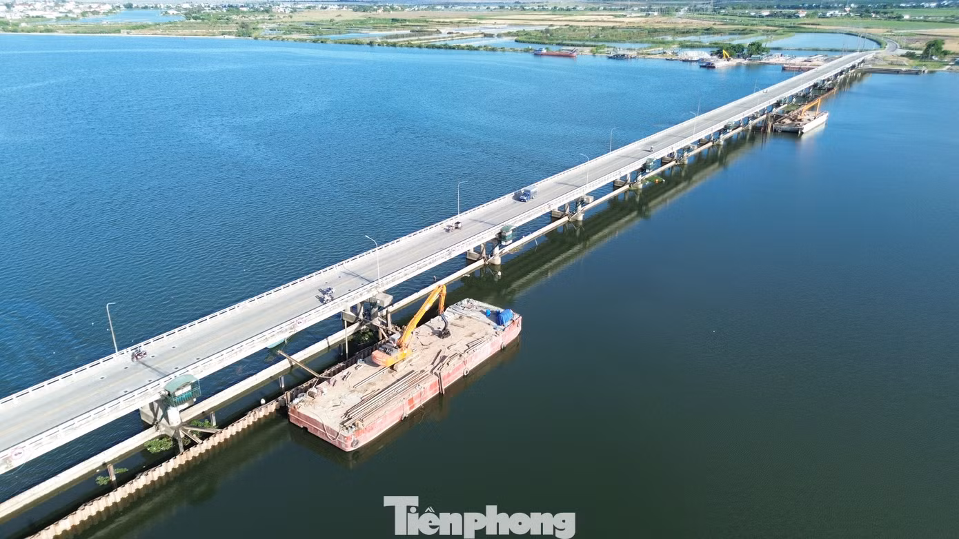 tp-c_1-trung-tu-dap-thao-long.jpg