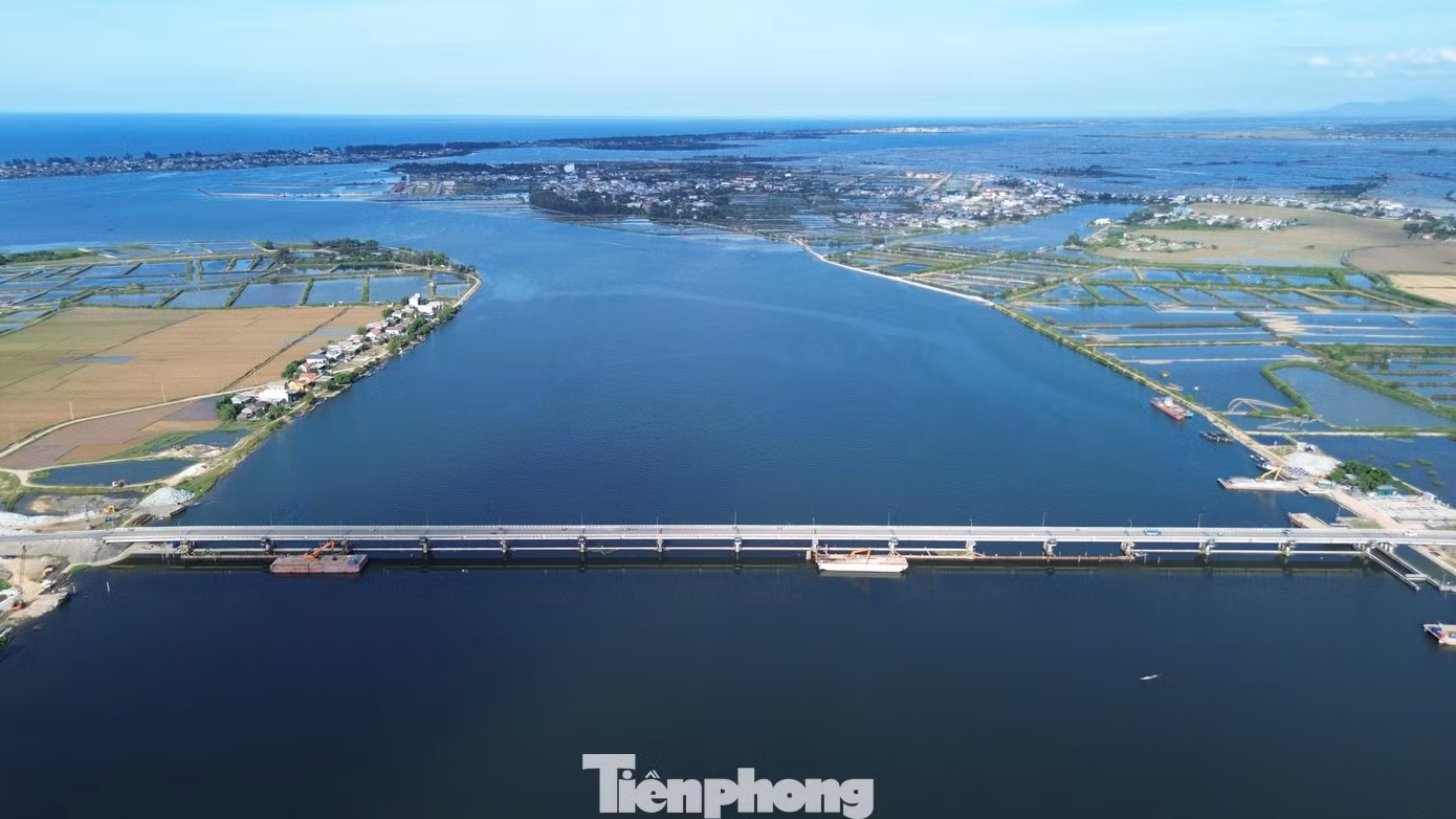 tp-c_4-trung-tu-dap-thao-long.jpg