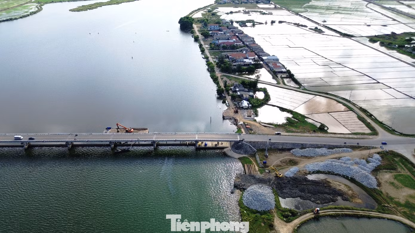 tp-c_6-trung-tu-dap-thao-long-1.jpg