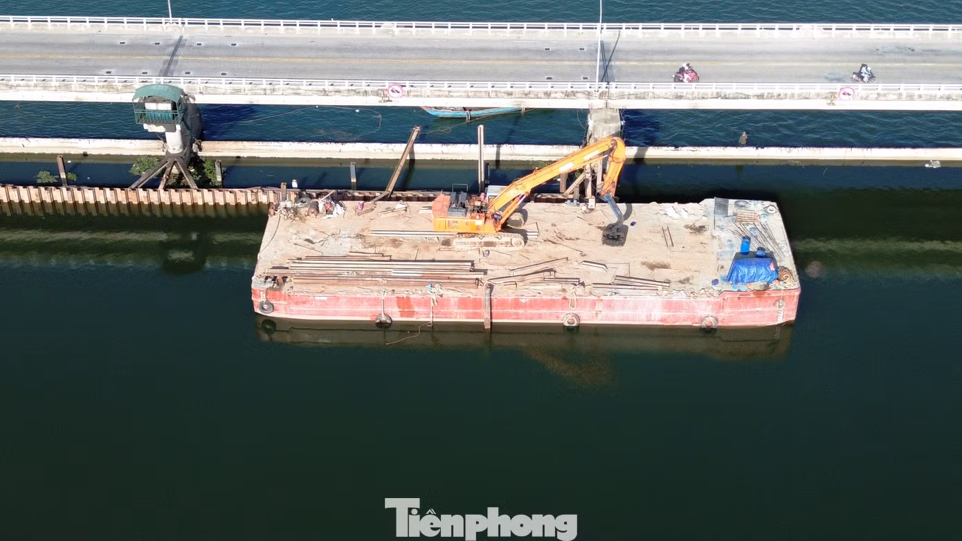 tp-c_6-trung-tu-dap-thao-long-2.jpg