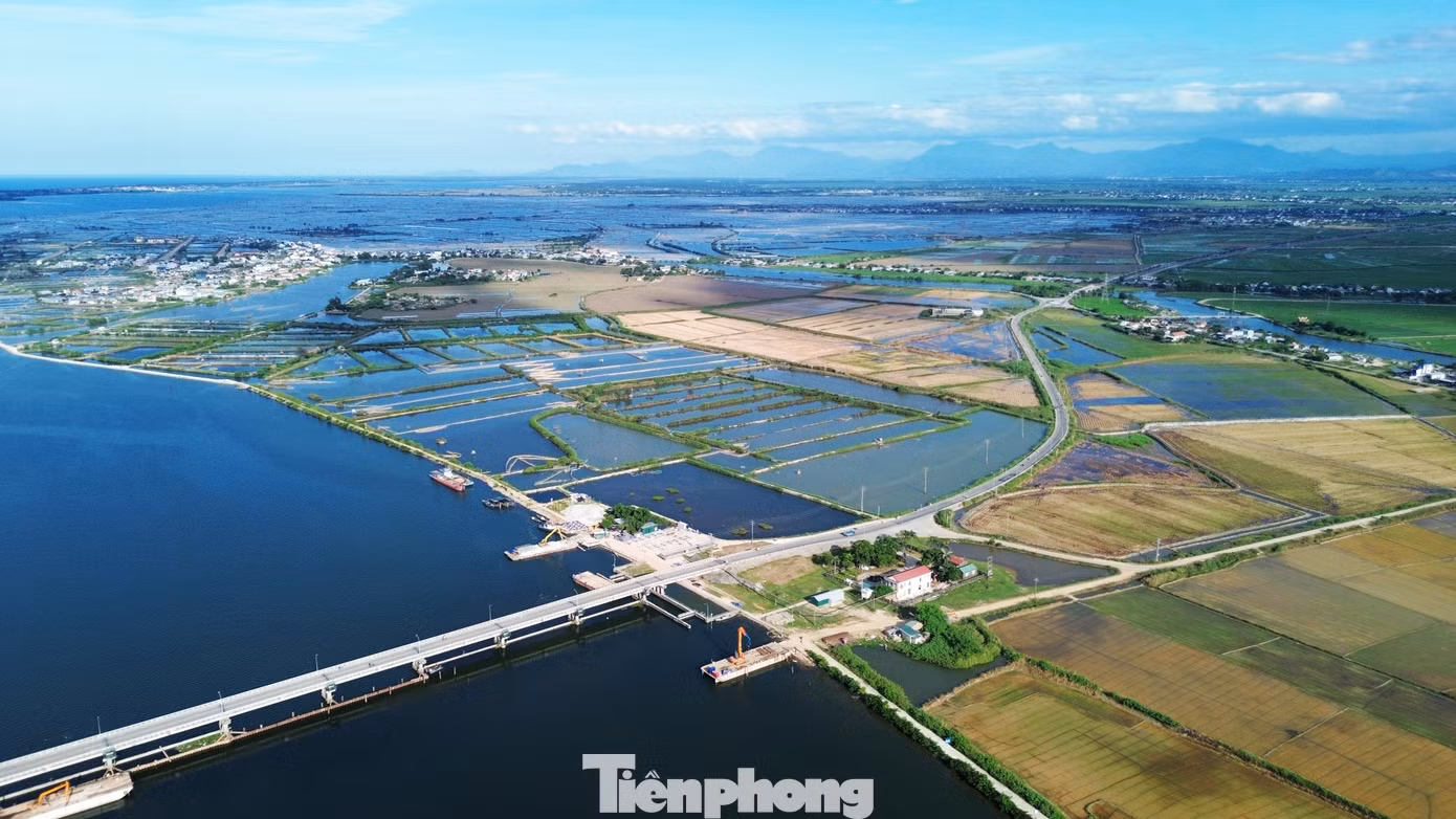 tp-c_9-2-trung-tu-dap-thao-long.jpg