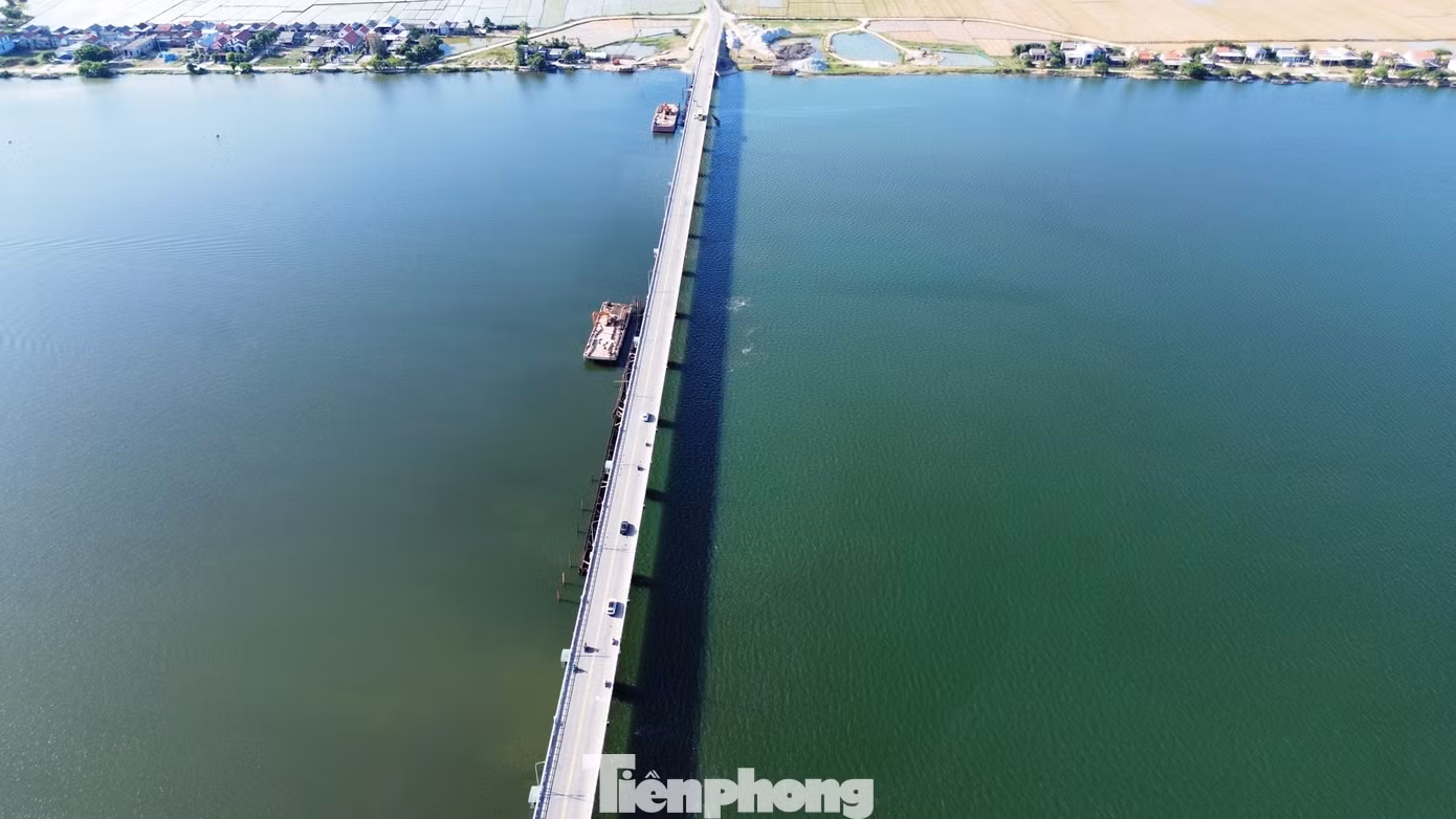 tp-c_9-trung-tu-dap-thao-long.jpg