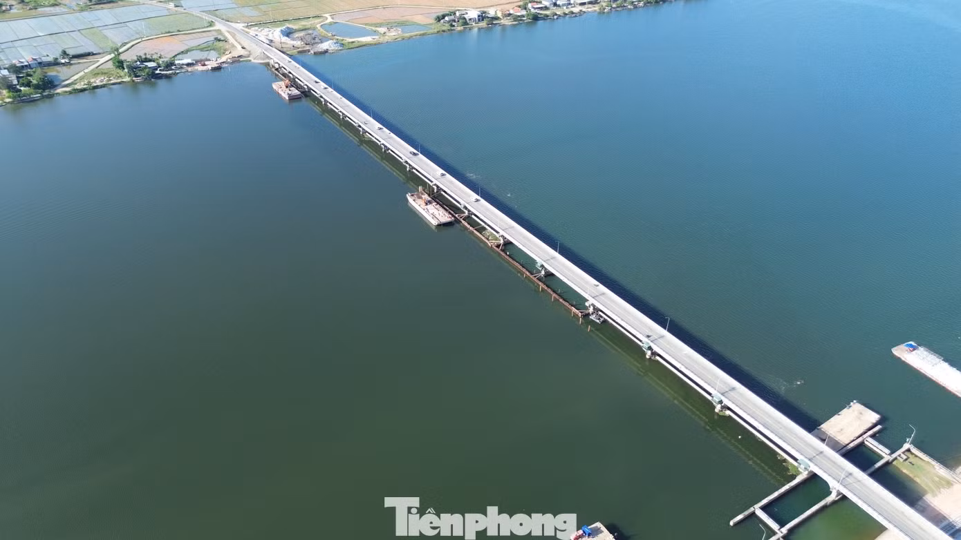 tp-c_5-trung-tu-dap-thao-long.jpg