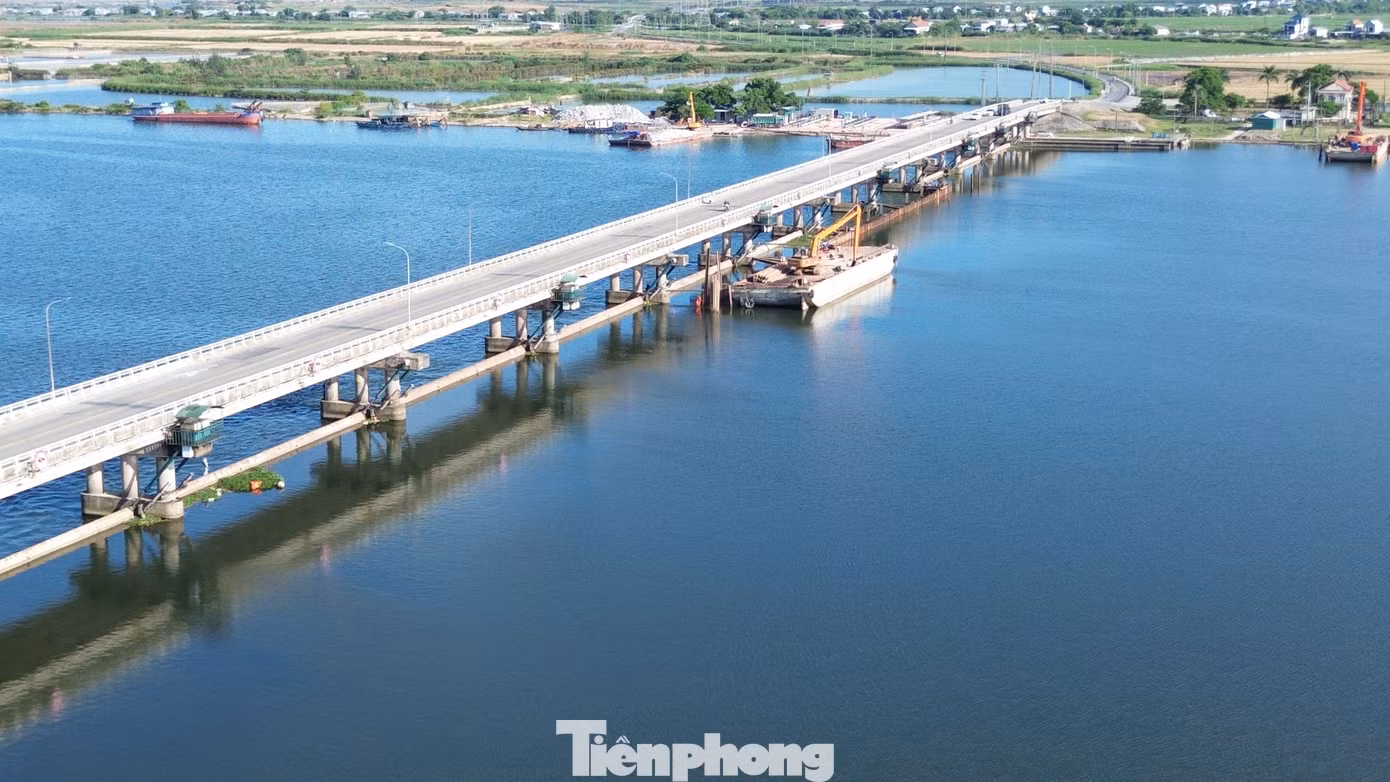 tp-c_9-1-trung-tu-dap-thao-long.jpg
