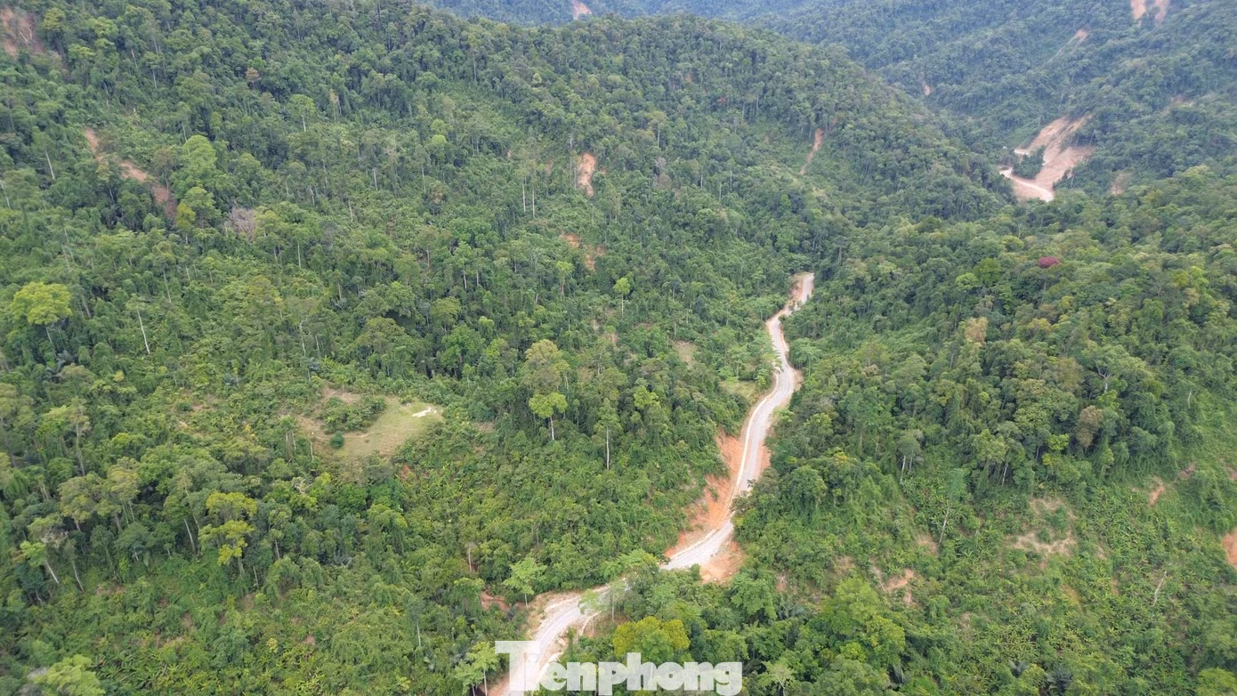 tp-c_7-duong-74-hue.jpg