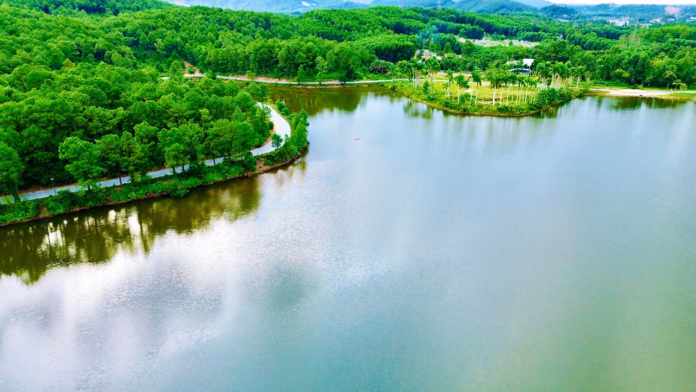 dji-0431.jpg
