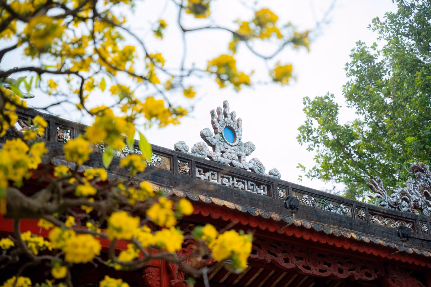 hoang-mai-6a.jpg