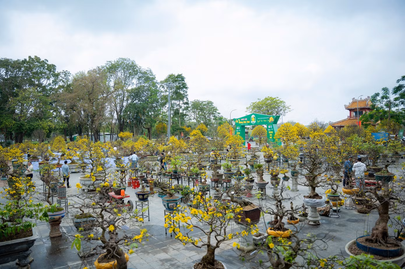 hoang-mai-4.jpg