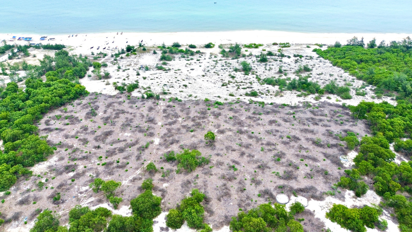 Rừng phòng hộ ven biển tại phường Phong Quảng (TP Huế) có chức năng bảo vệ bờ biển, bảo vệ môi trường sinh thái, chống sạt lở... đã bị "cạo trọc" để bán gỗ. dji-0369.jpg