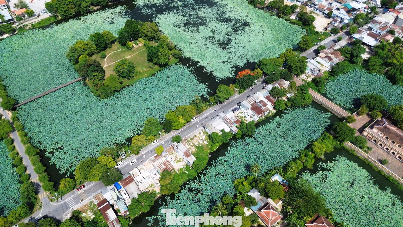tp-c_3-di-dan-kinh-thanh-hue.jpg
