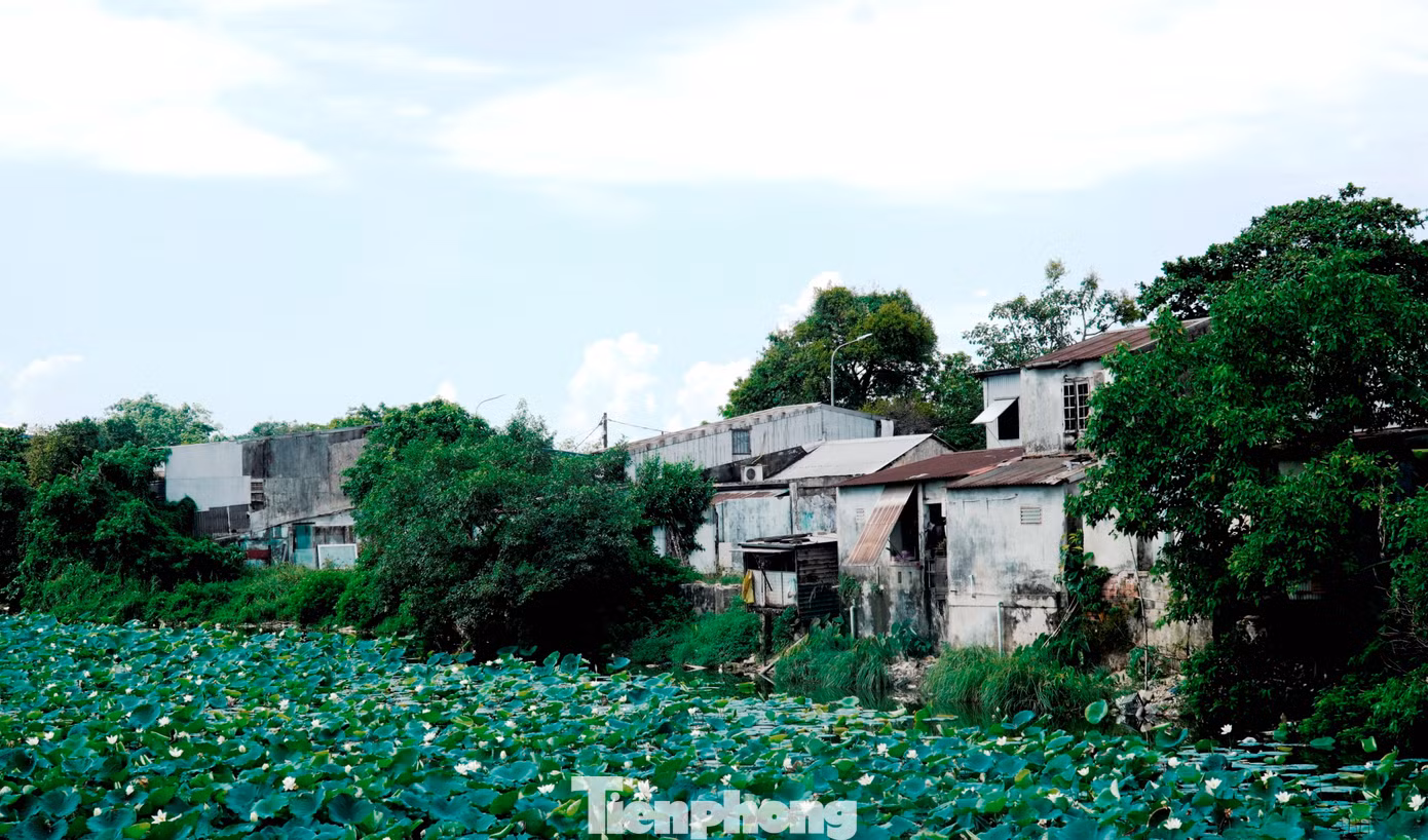tp-c_4-di-dan-kinh-thanh-hue.jpg