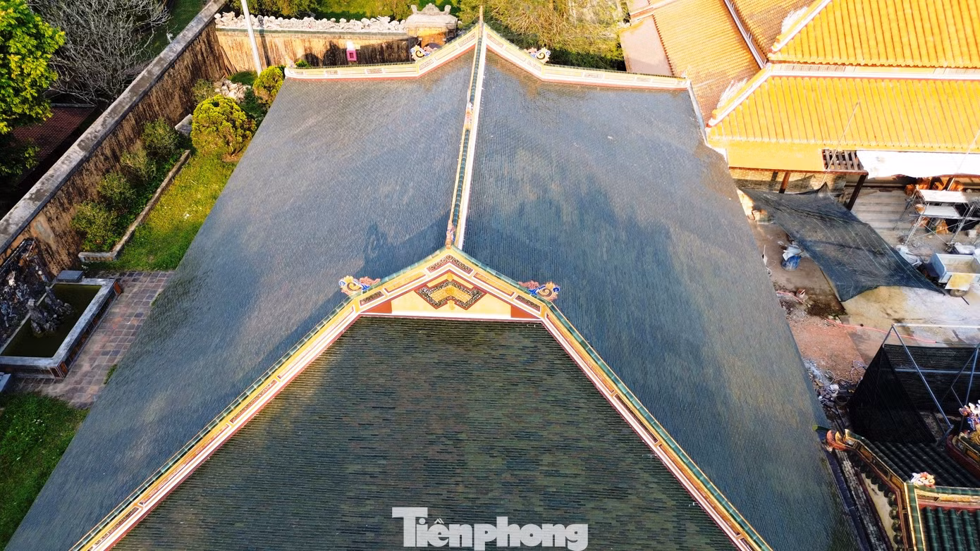 tp-9-hoa-khiem-duong-lang-tu-duc-1.jpg