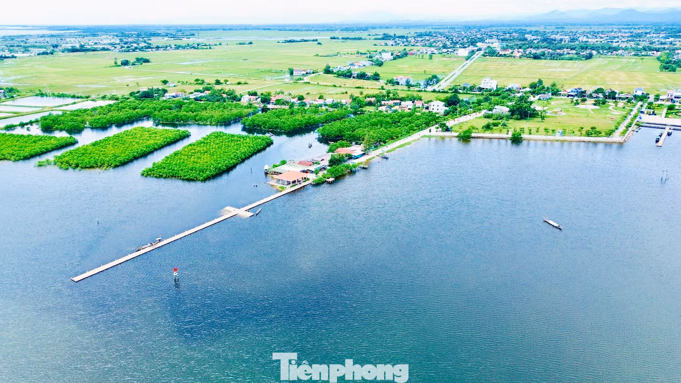 tp-4-cau-vinh-tu.jpg