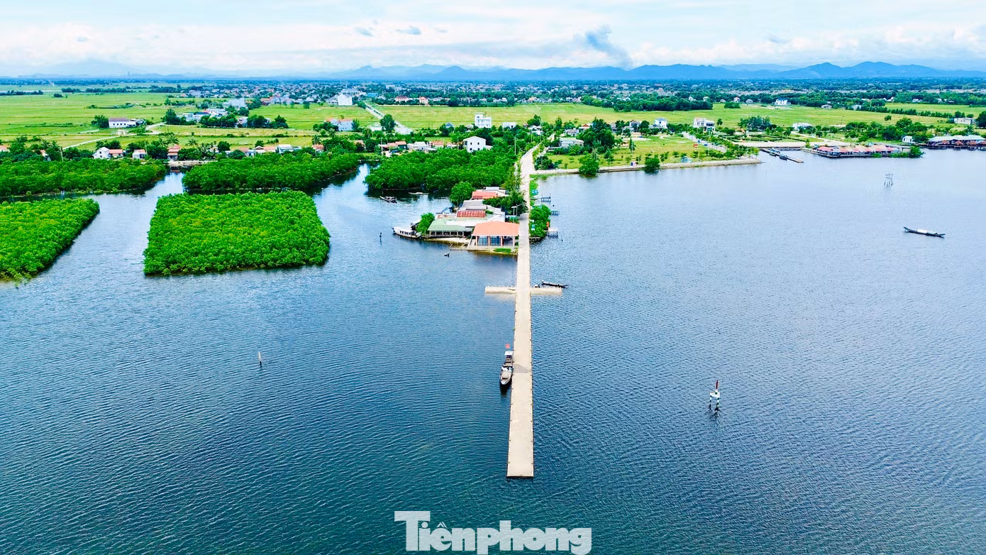 tp-5-cau-vinh-tu.jpg