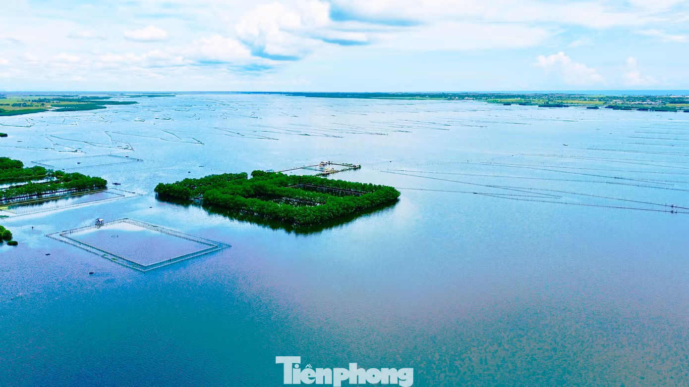tp-mot-goc-phia-bac-dam-pha-tam-giang-cau-hai-he-dam-pha-lon-nhat-dong-nam-a.jpg