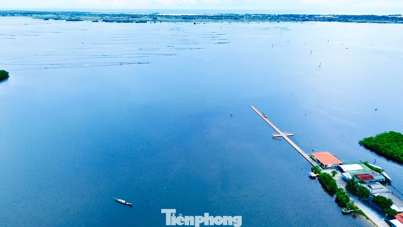 tp-6-cau-vinh-tu.jpg