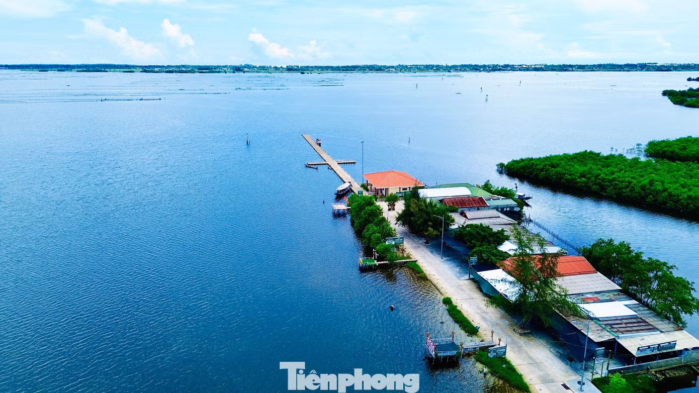 tp-8-cau-vinh-tu.jpg