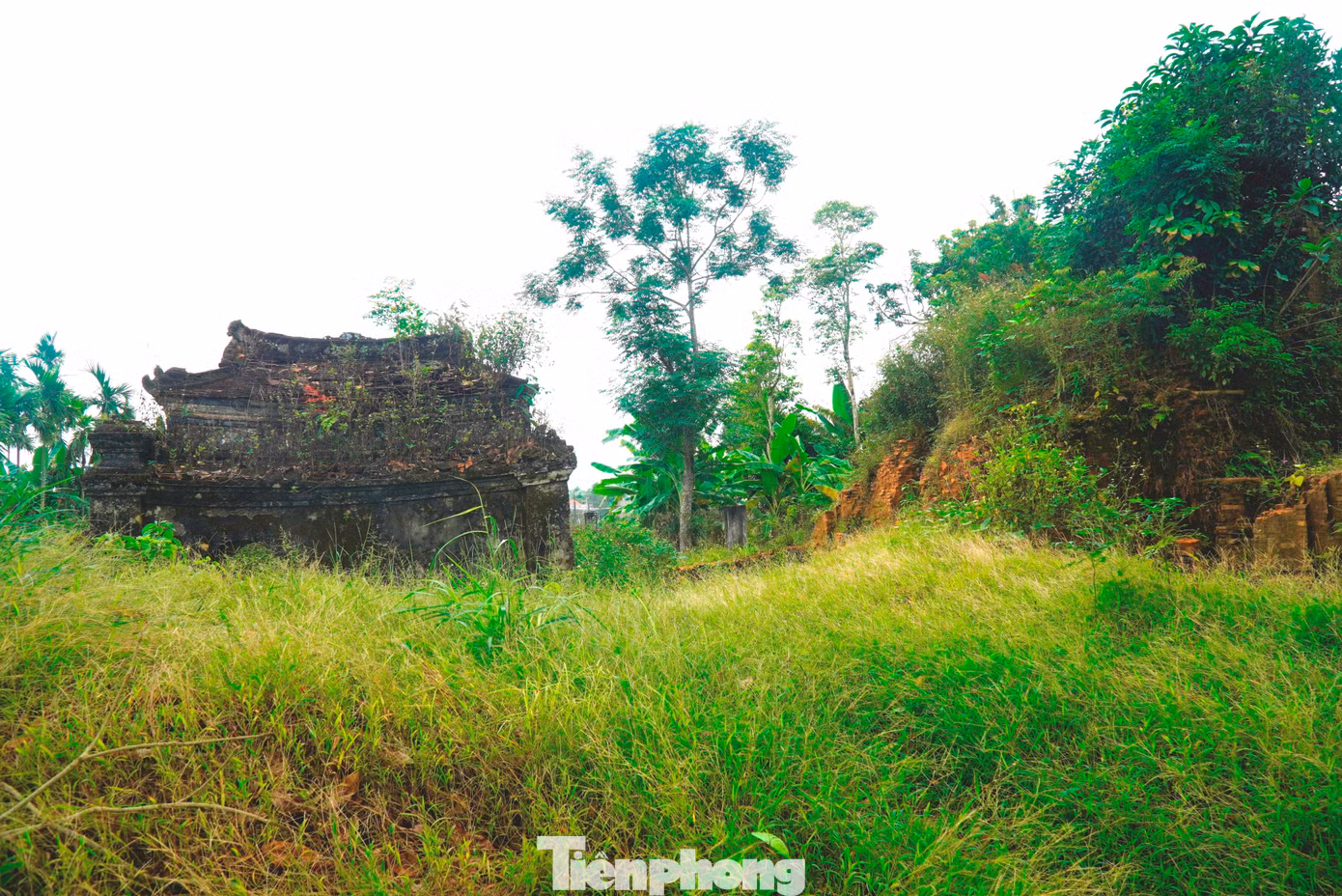 tp-7-thap-doi-lieu-coc.jpg