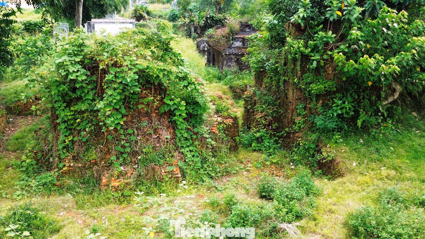 tp-6-thap-doi-lieu-coc.jpg