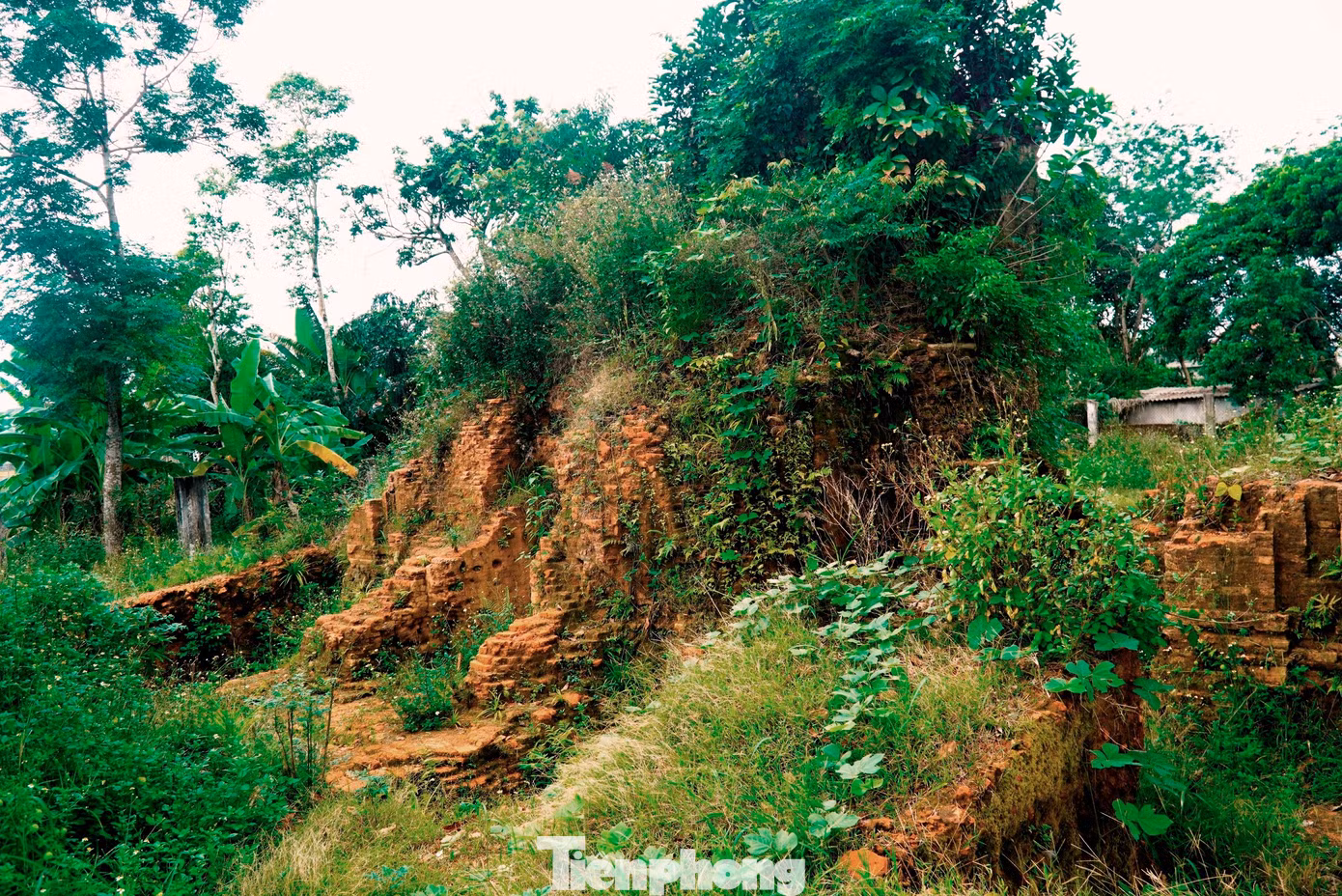 tp-3-thap-doi-lieu-coc.jpg