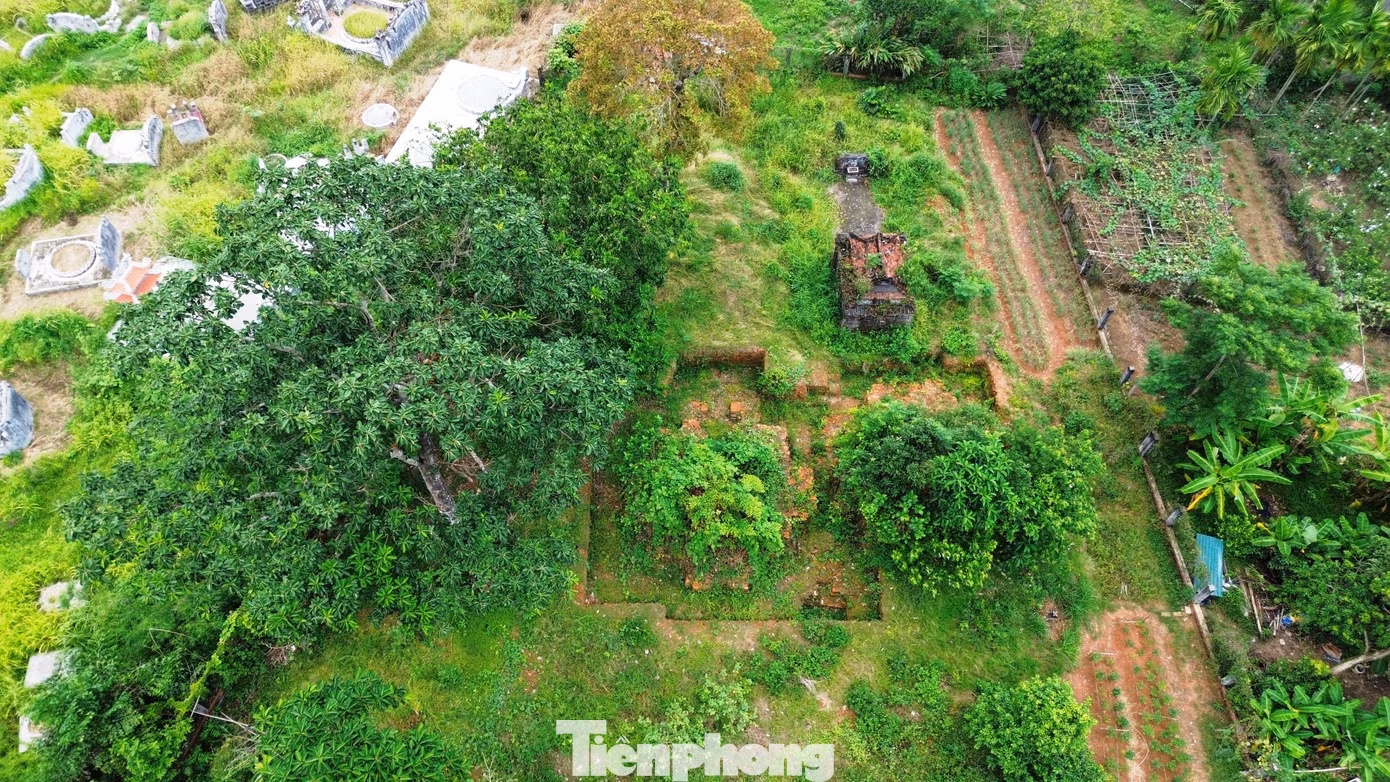 tp-9-thap-doi-lieu-coc.jpg