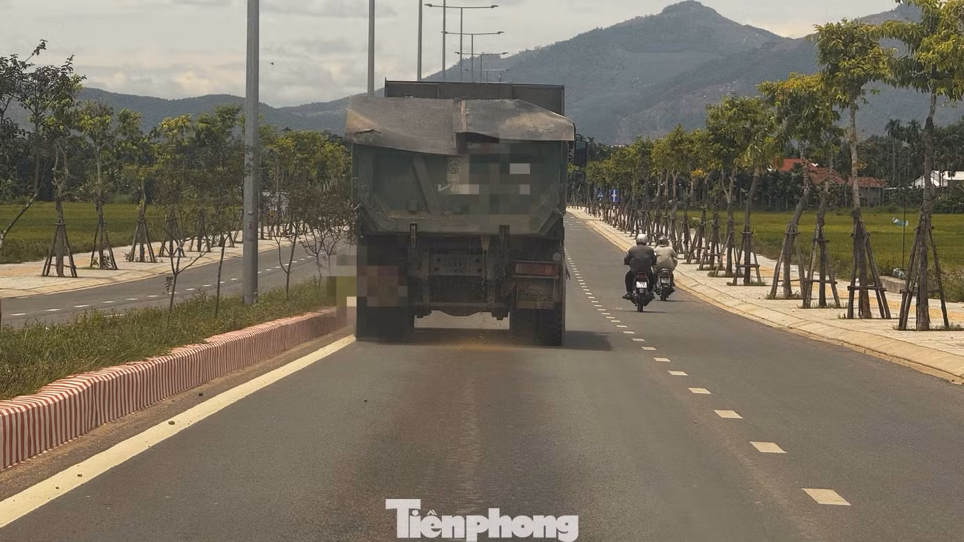 tp-5195.jpg