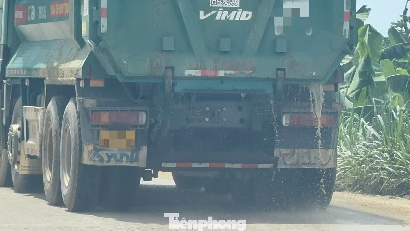 tp-5190.jpg