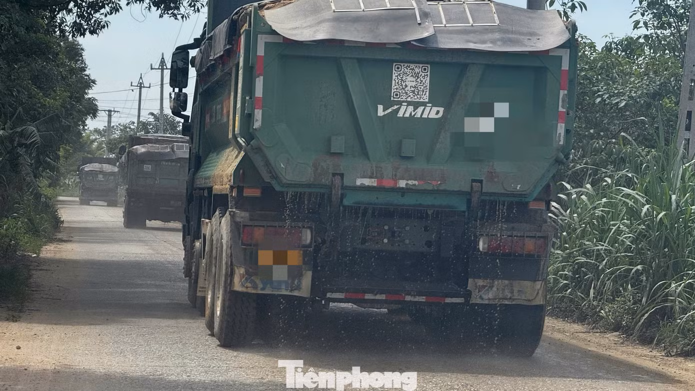 tp-5186.jpg