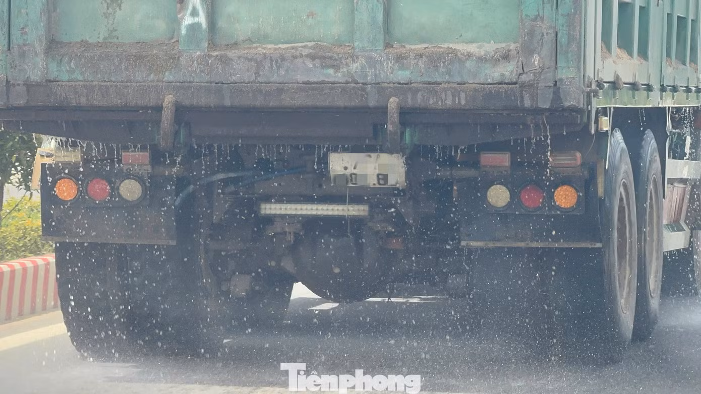 tp-c_7bc2046e71caf094a9db.jpg