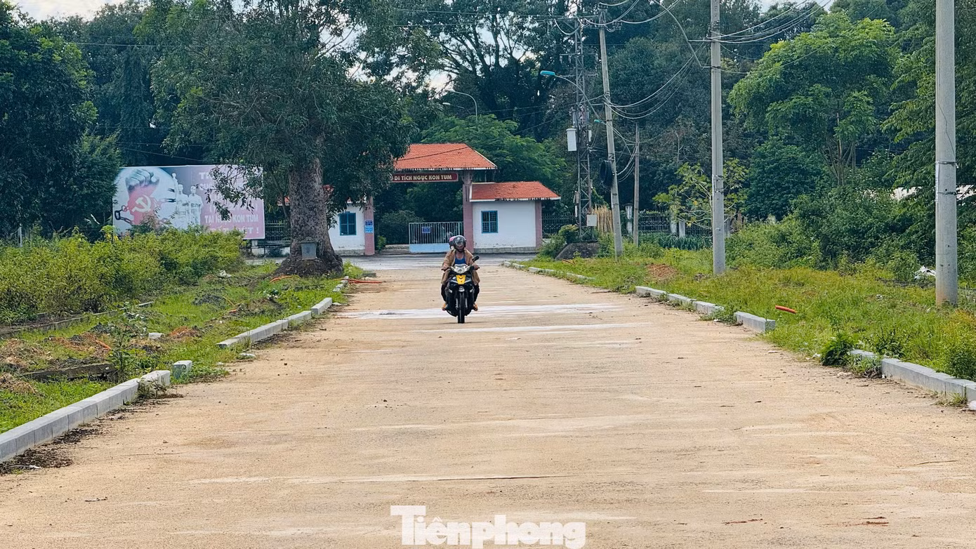 tp-2300.jpg