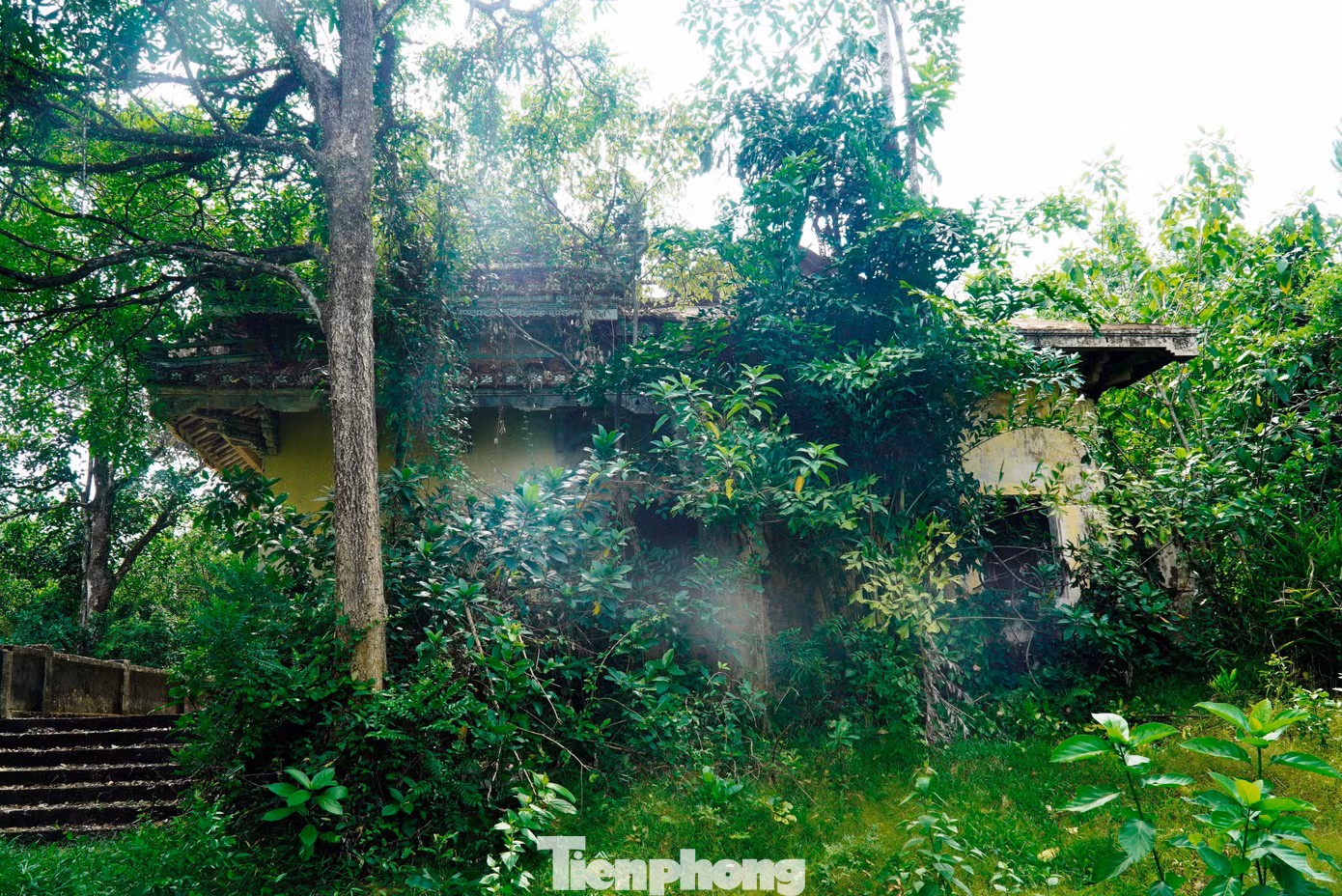 tp-c_2-nha-ngo-dinh-can.jpg