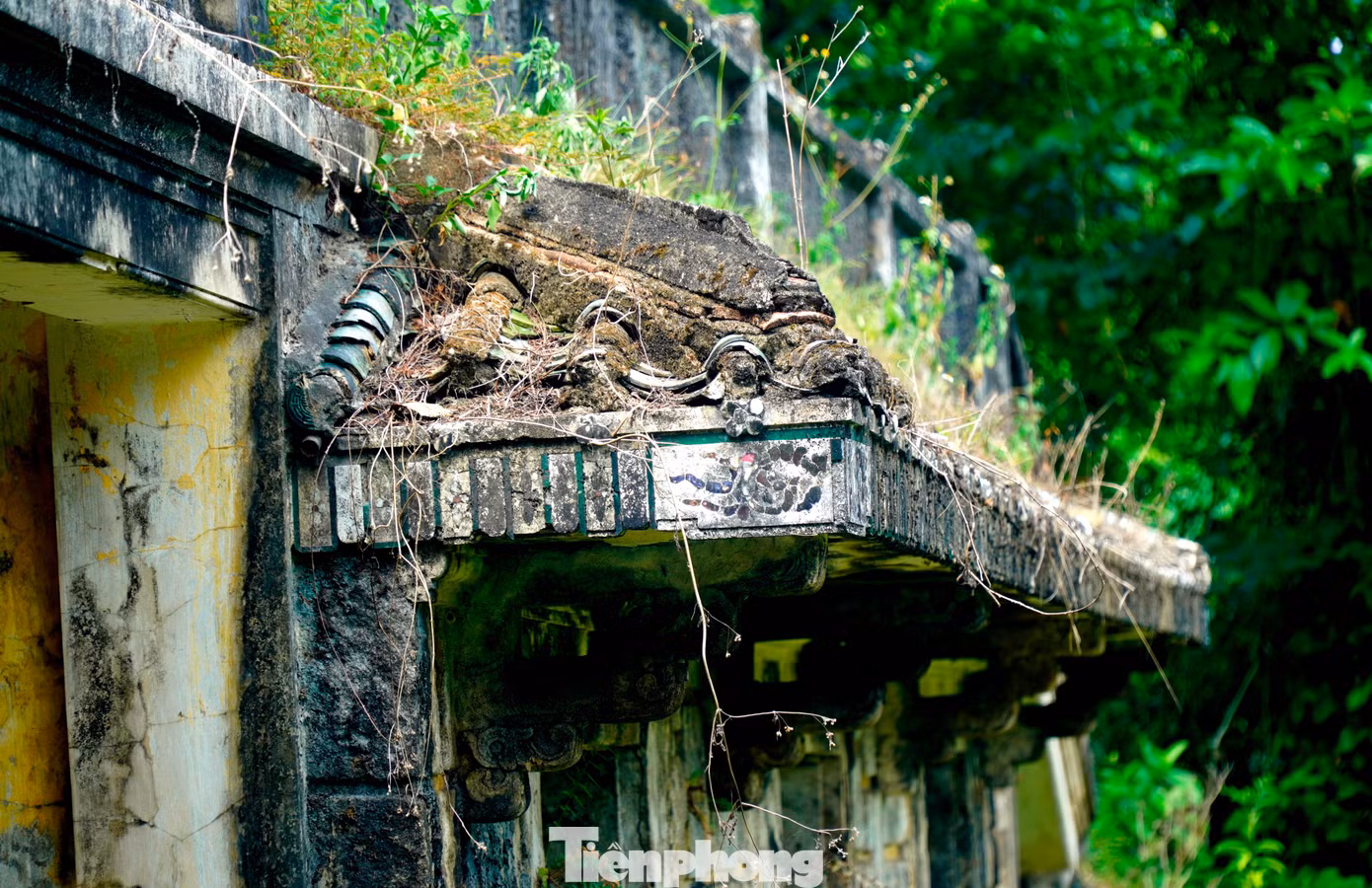 tp-c_9-2-nha-ngo-dinh-can-2.jpg