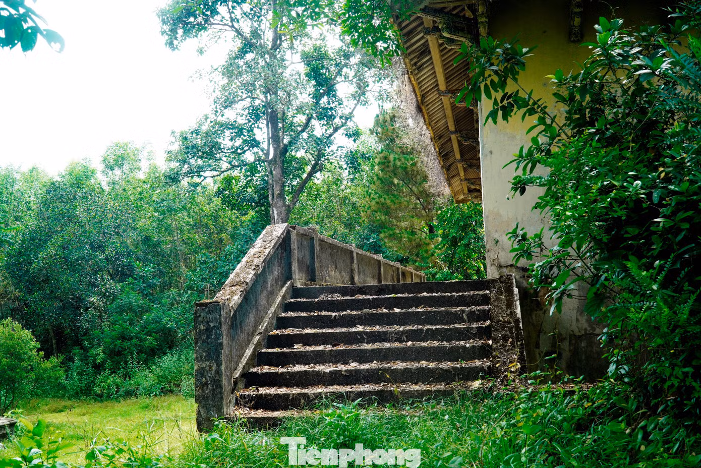 tp-c_9-nha-ngo-dinh-can-1.jpg