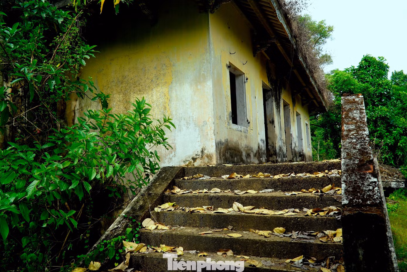 tp-c_9-3-nha-ngo-dinh-can.jpg