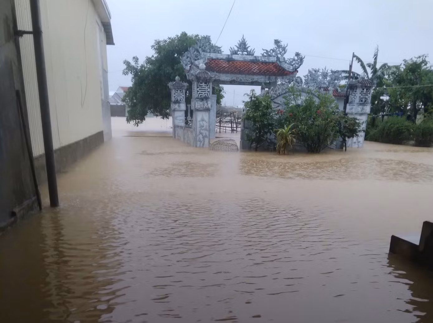 hoa-chau.jpg