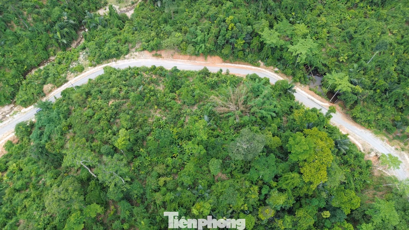 tp-c_dji-0735.jpg